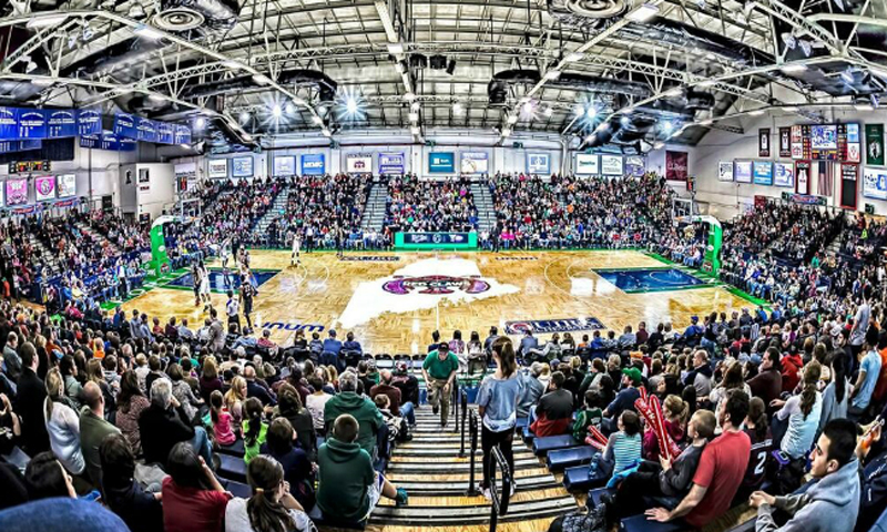 Basketball Game. Photo Provided by Maine Celtics