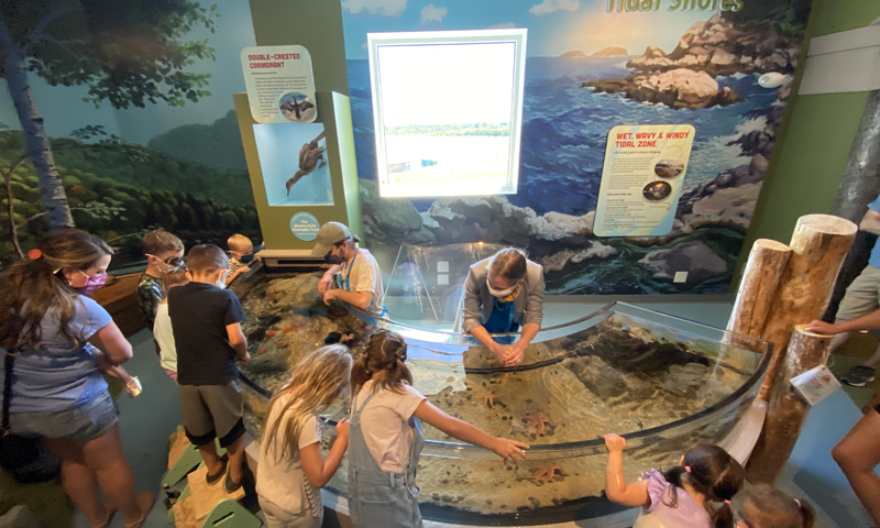 Tidal Shores Exhibit. Photo Provided by Children's Museum and Theatre of Maine